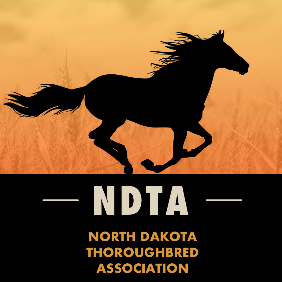 ndtba-auction.com